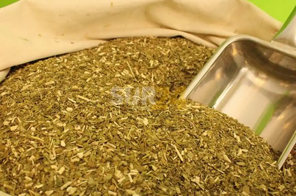 Consumo de yerba mate creció 3,5% en los primeros meses del año