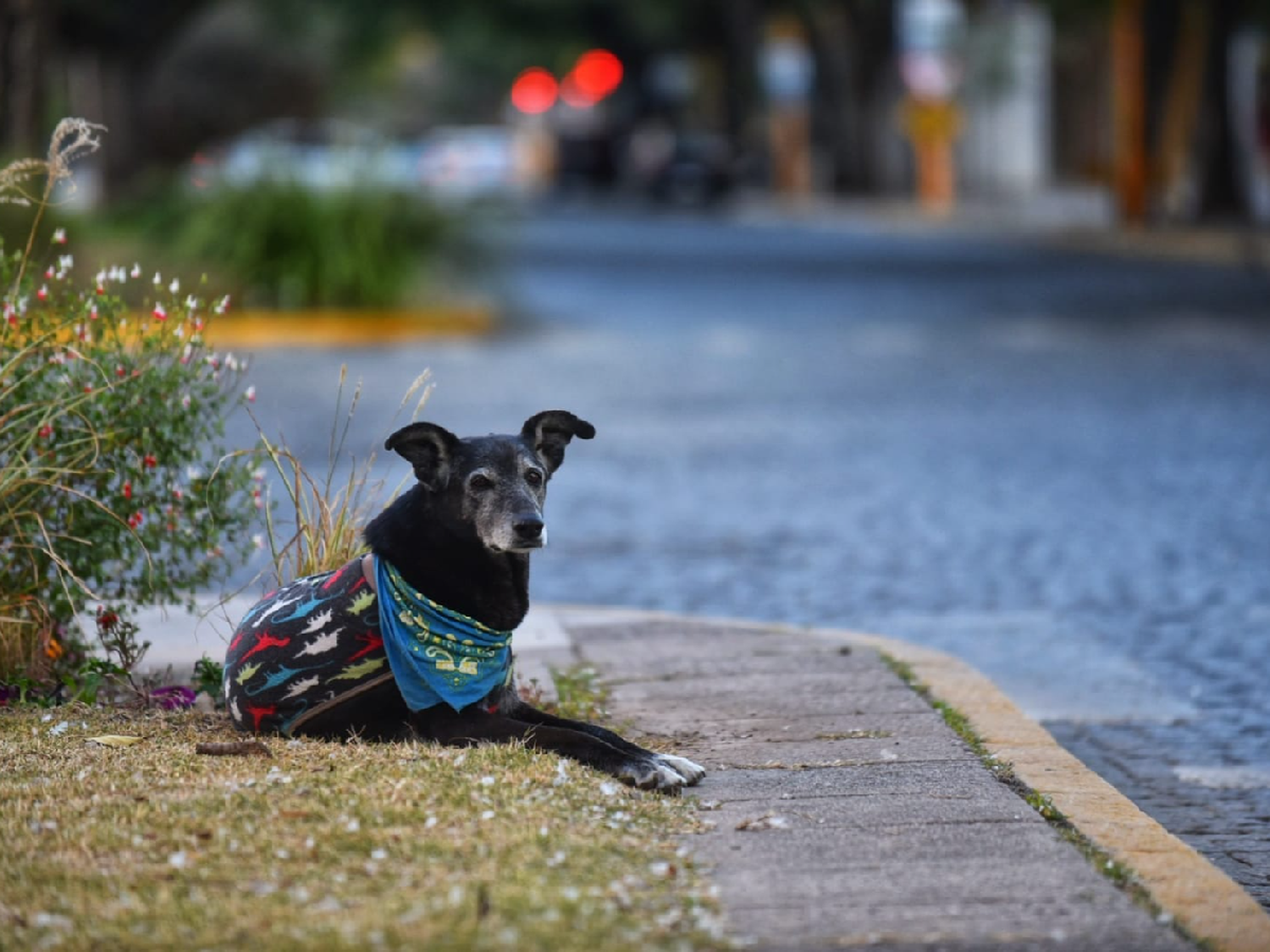 Frío sobre frío: el promedio de temperaturas es inferior al registrado años atrás