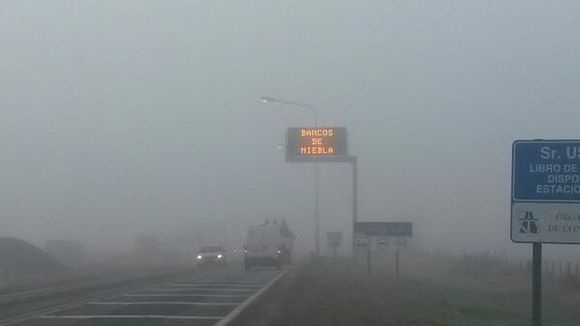“Alerta Violeta”: gran parte de la Provincia de Buenos Aires bajo advertencia por presencia de niebla