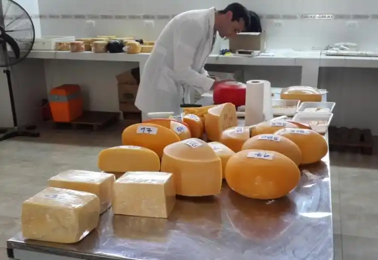 Fiesta Nacional de la Leche en Totoras: se viene el concurso de quesos