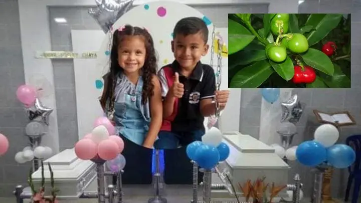 ¡TRISTE FINAL PARA UNAS VACACIONES! Por comerse un fruto venenoso mueren dos niños venezolanos en Colombia