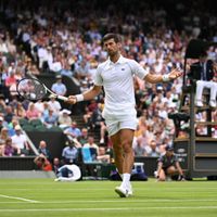 Báez fue apabullado por Goffin