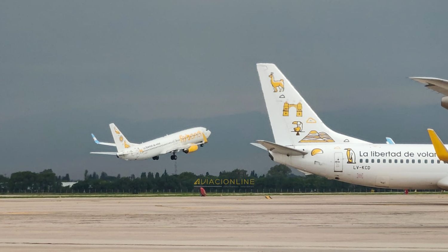 Flybondi incorpora dos Boeing 737 españoles en Wet Lease para la temporada