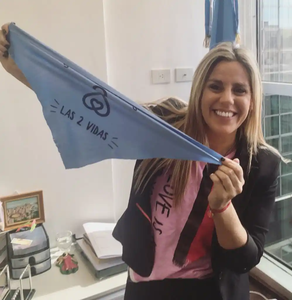 Legalización del aborto: Villa volvió a expresarse en contra del proyecto de ley