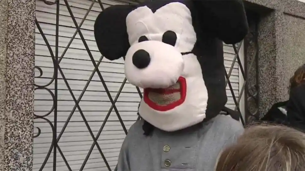 "Mickey" de Villa Luro fue detenido durante un robo