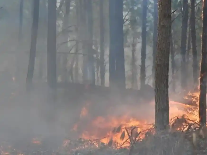 Córdoba en alerta ambiental. Crédito: NA