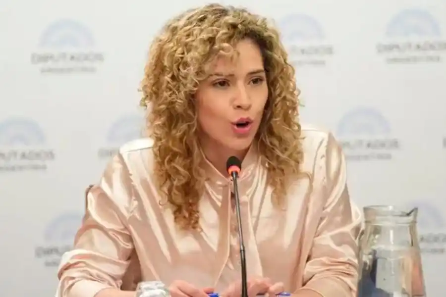 La diputada Lourdes Arrieta dijo que se siente amenazada: "Tengo miedo por mi vida"