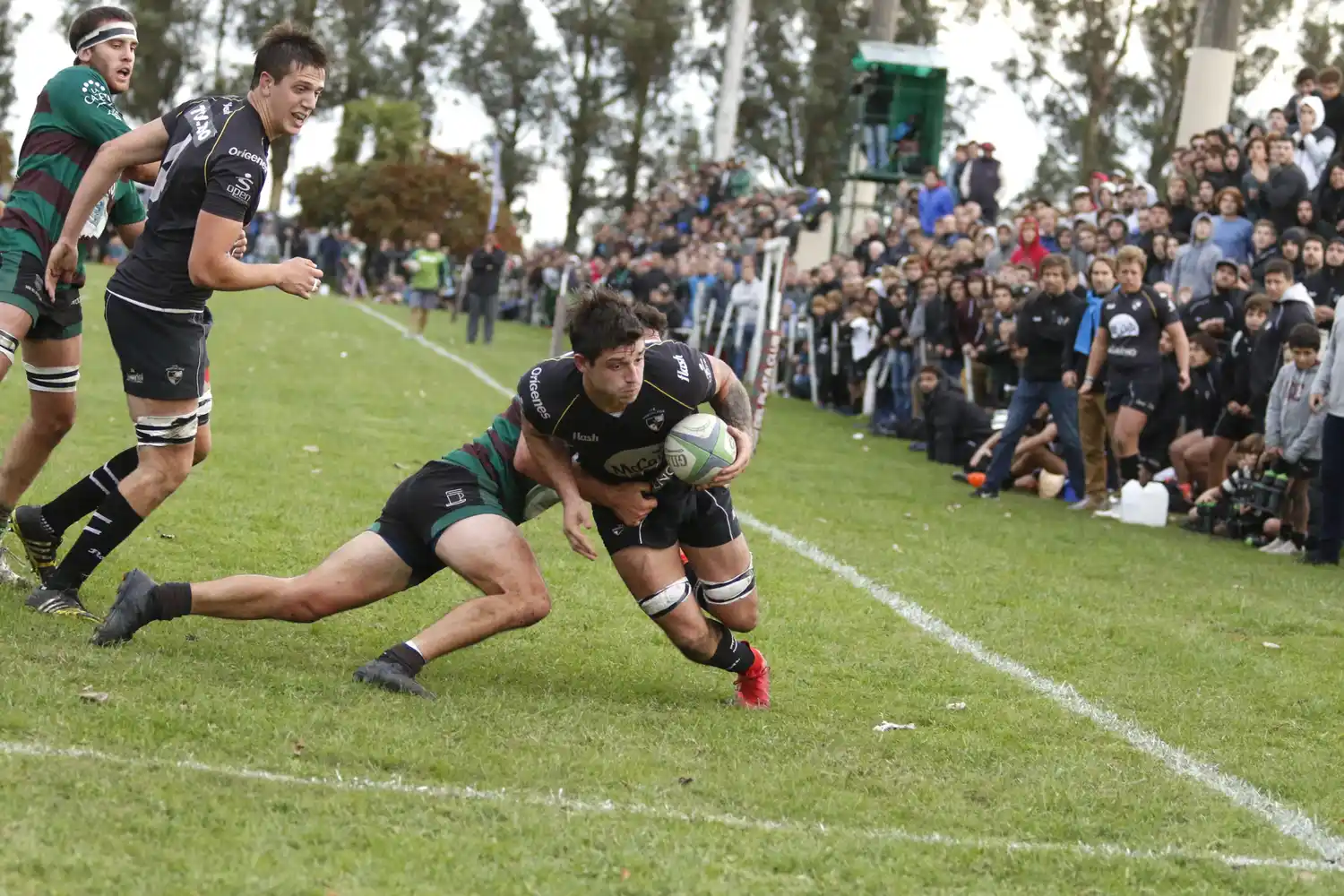 Victoria clásica con sabor especial