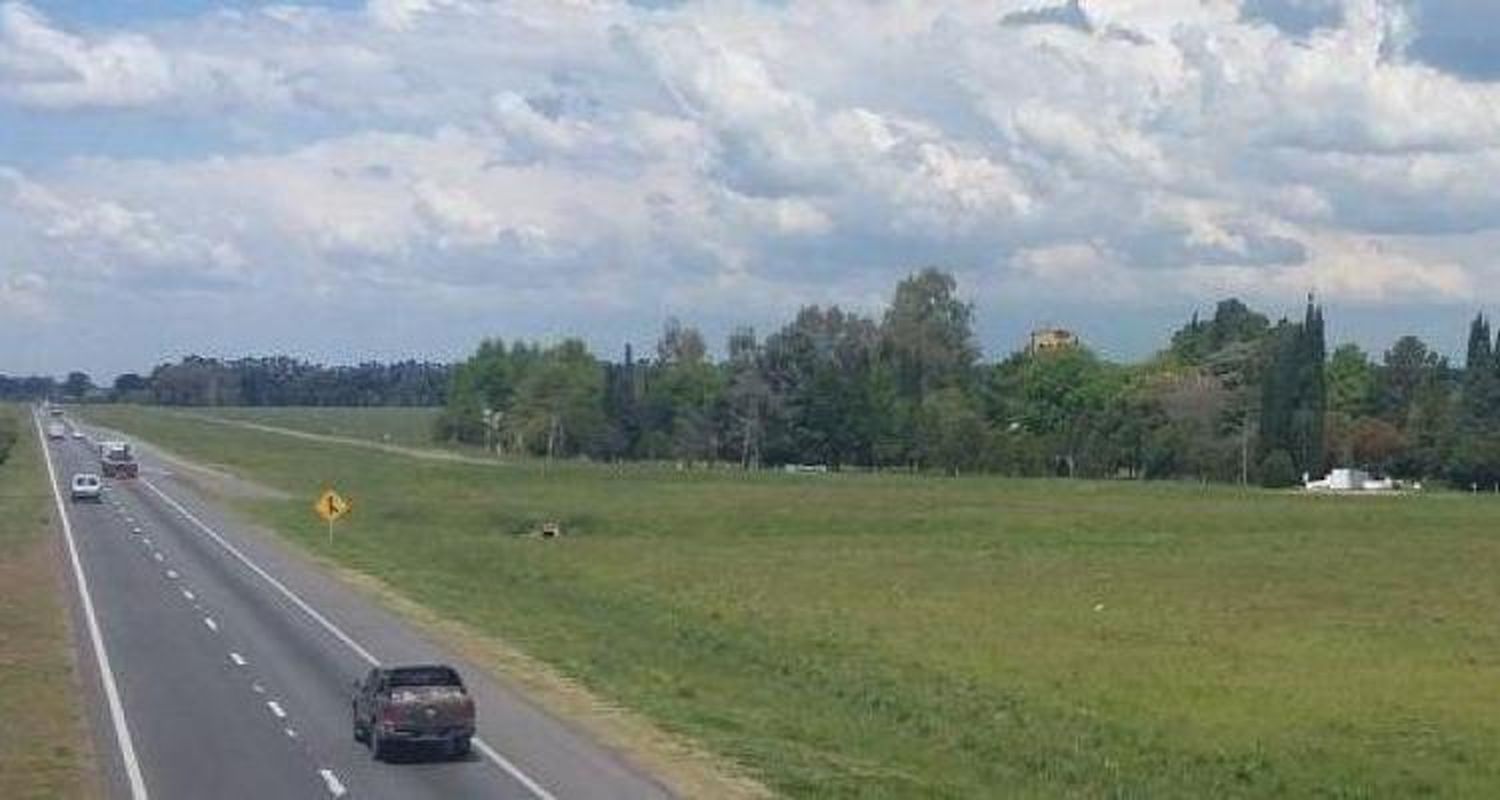Automovilista chocó contra una vaca y originó un accidente múltiple