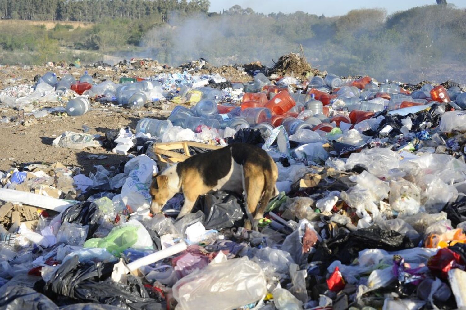 Basural