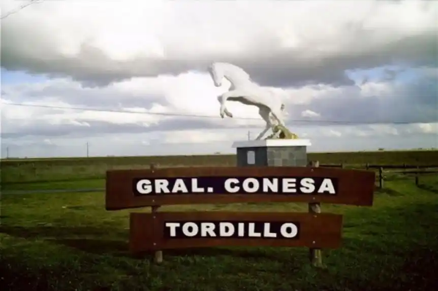 Tordillo