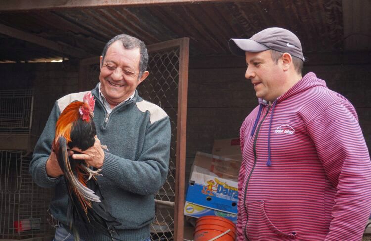 El intendente. Con un gallo