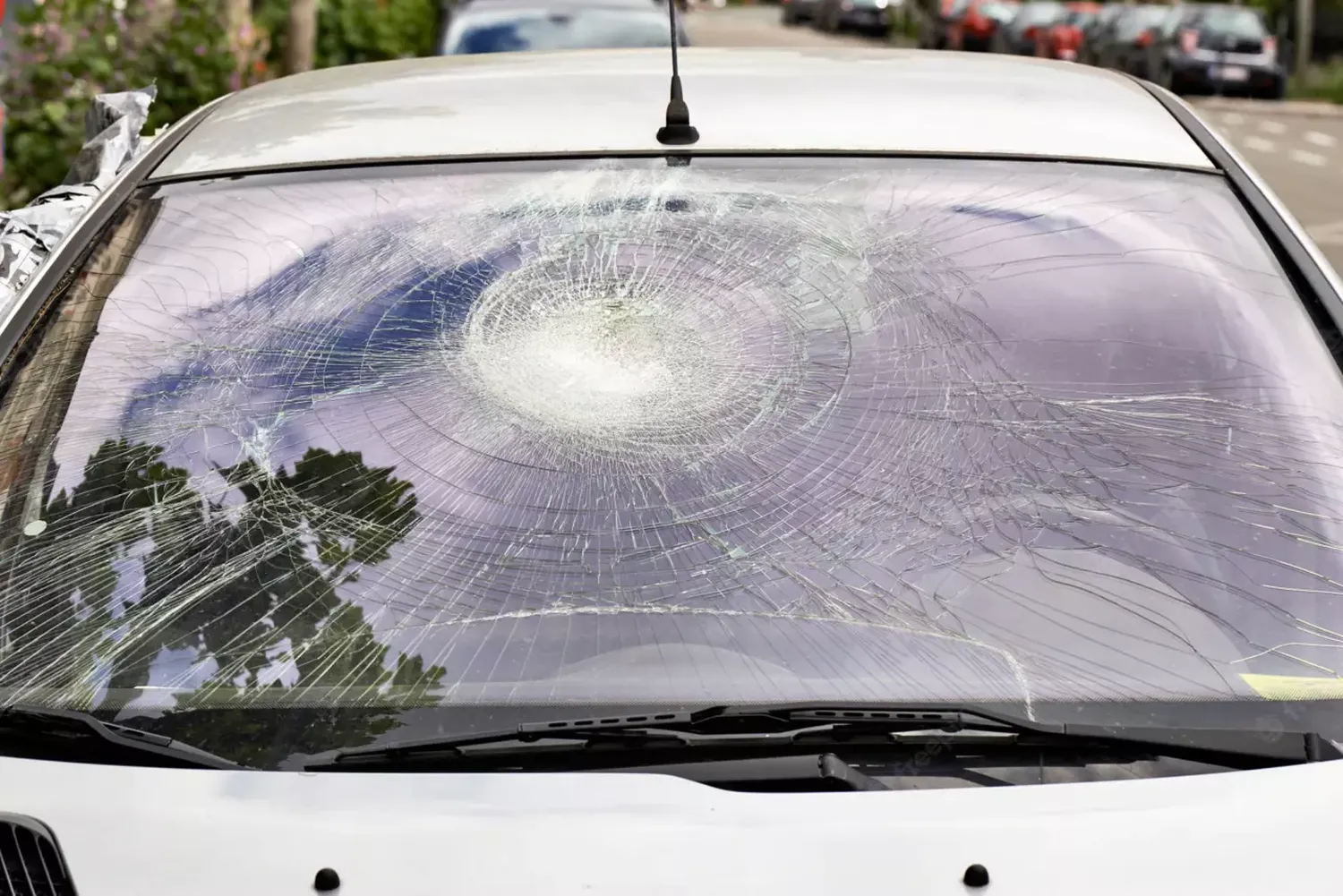 Venado Tuerto: golpean a un joven, le destrozan el auto y lo amenazan de muerte