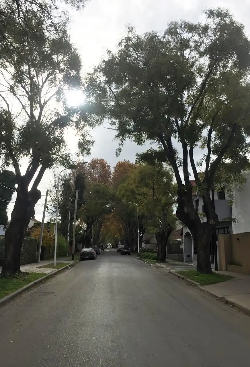 El Municipio rechazó un reclamo por daños causados por la caída de una rama de calle Ricchieri