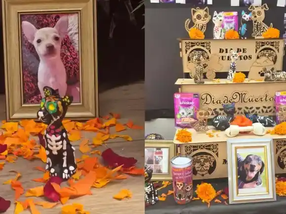 CUANDO las MASCOTAS REGRESAN: tradición de mexicana de Día de Muertos que se ha extendido