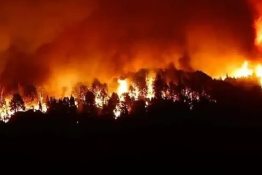 Incendio en Los Alerces: ya se quemaron más de 1.800 hectáreas