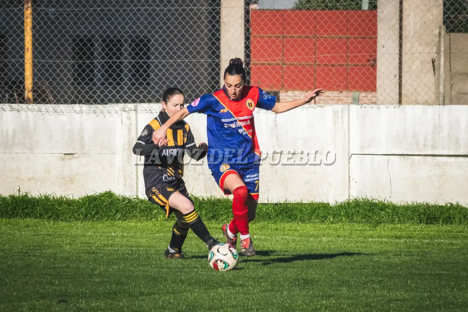 femenino cole-barra - 1