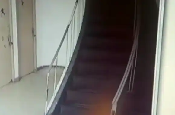 ¿Actividad paranormal en Rosario? Apareció una extraña figura en un edificio céntrico