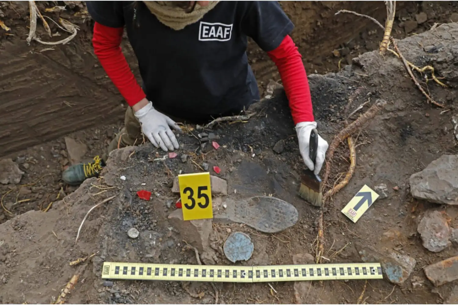 Invitan a una charla sobre antropología forense y la identificación de desaparecidos en Paraná