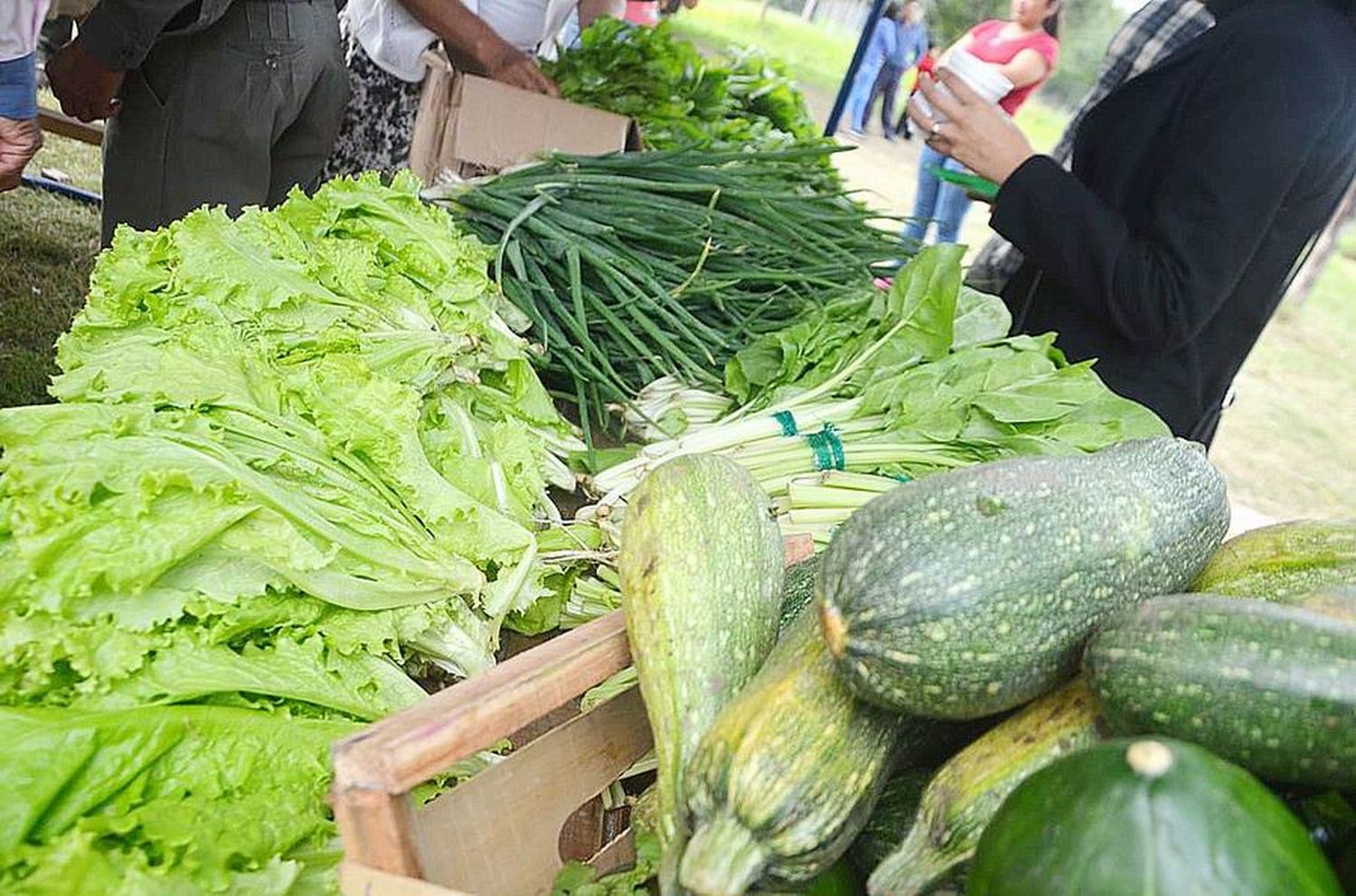 Nutrir: 17.500 beneficiarios reciben
los bolsones dos veces al mes