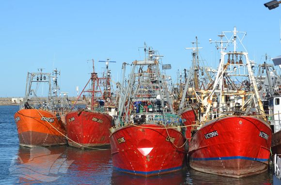 Pesca en crisis: “El negocio está roto y la pérdida de competitividad supera el 100%"