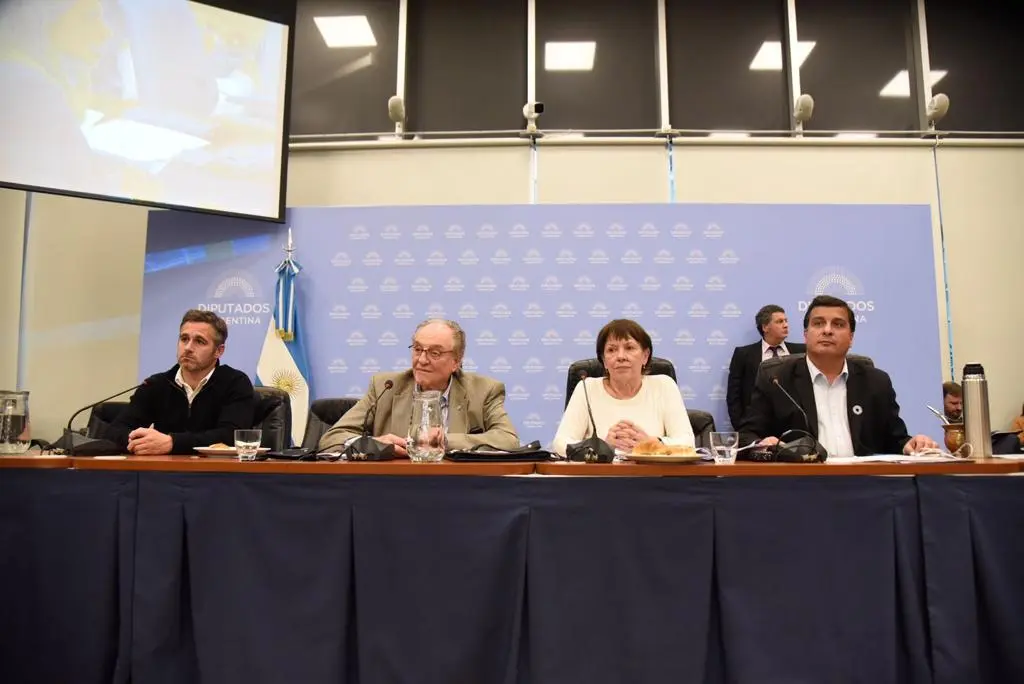 Diputados aprobó en comisión el proyecto de la Universidad de Pilar