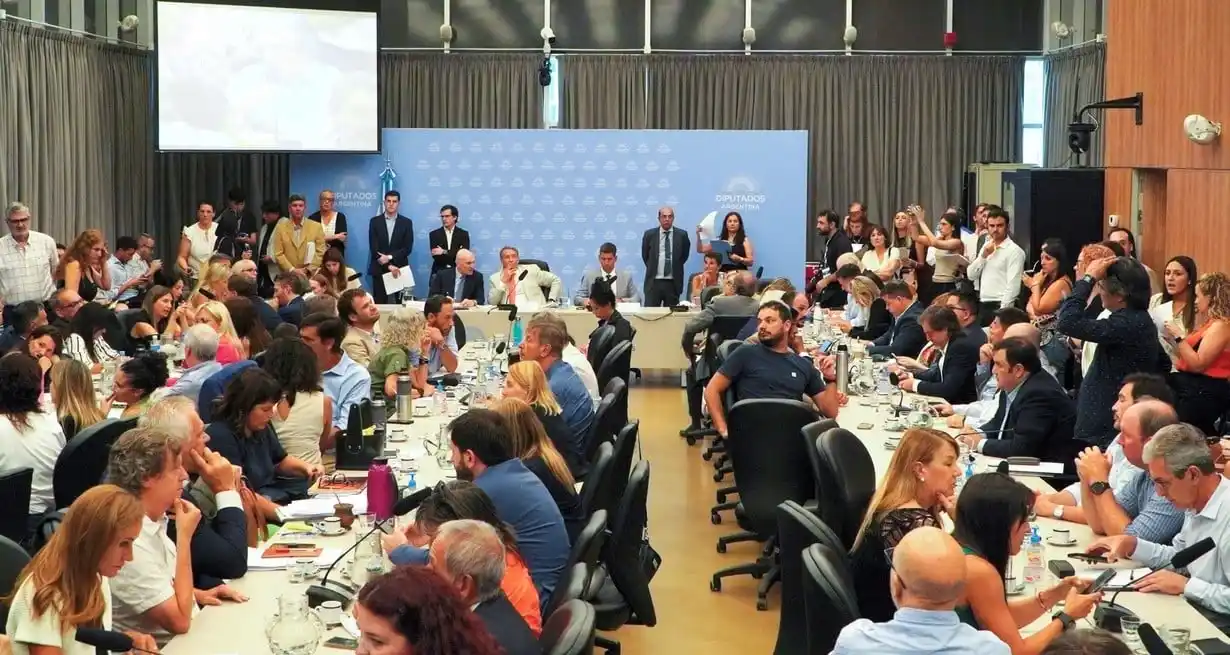 La Libertad Avanza logró 58 de las 115 firmas de los legisladores que integran el plenario de comisiones. Foto: Claudio Fanchi / NA.