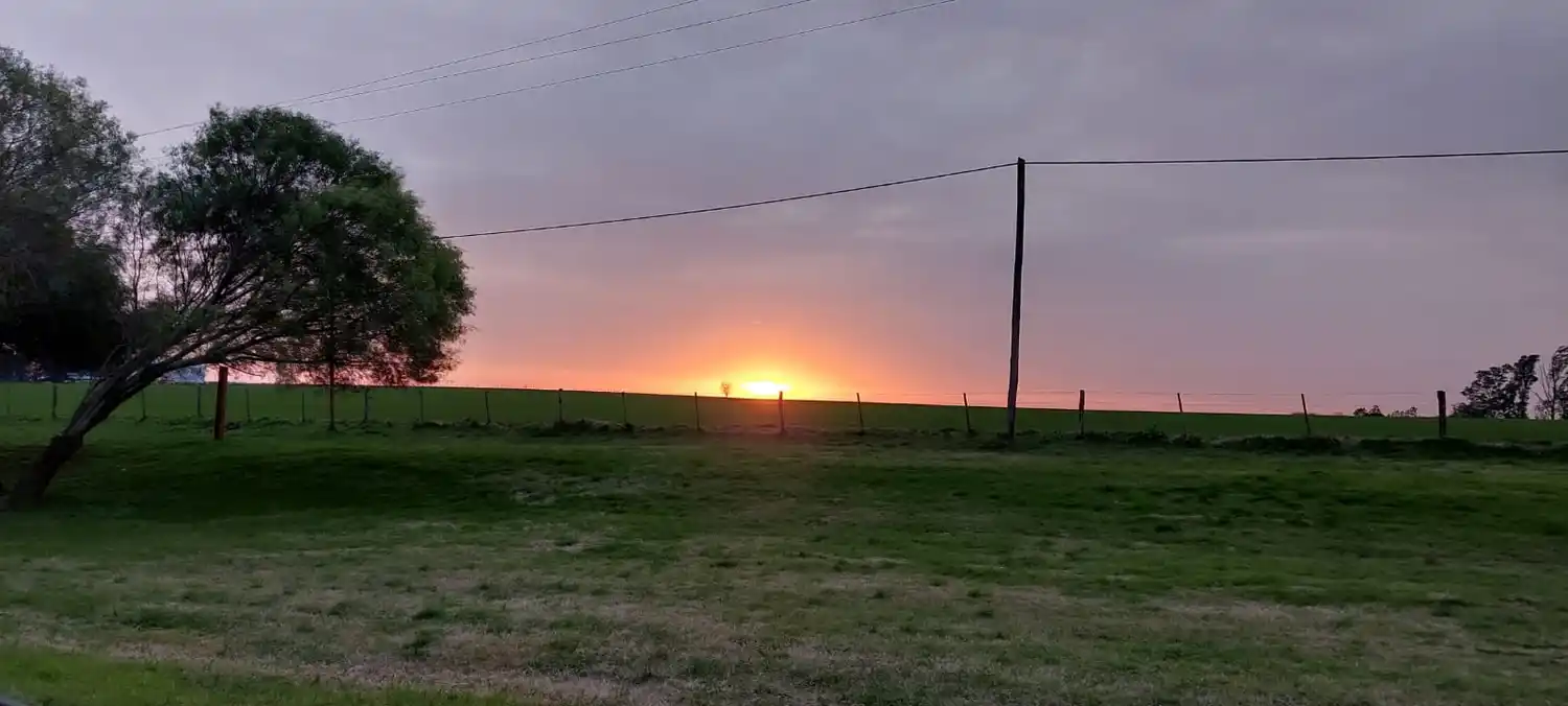 Emitieron un alerta amarillo por fuertes vientos que afectarán a la provincia