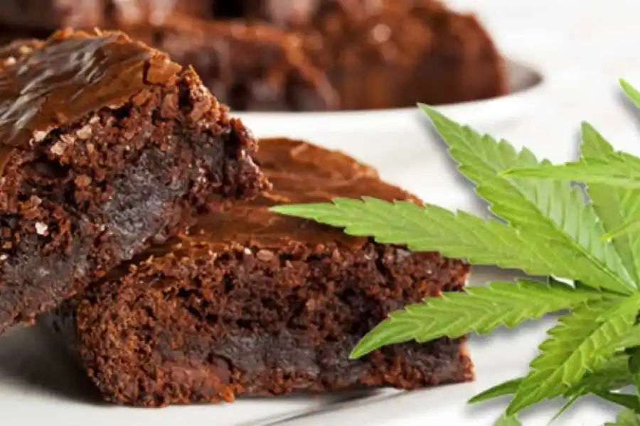 Llevó brownies con marihuana al trabajo y drogó a todo el call center