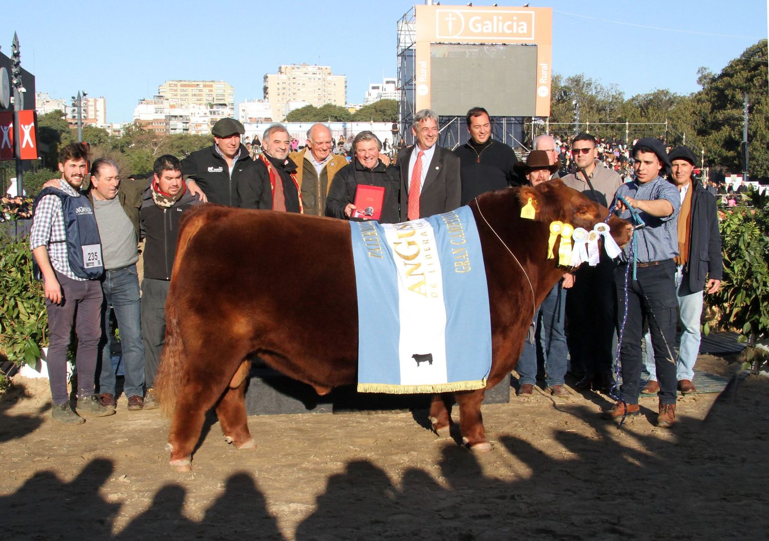 Mateo, el toro de las cuatro coronas