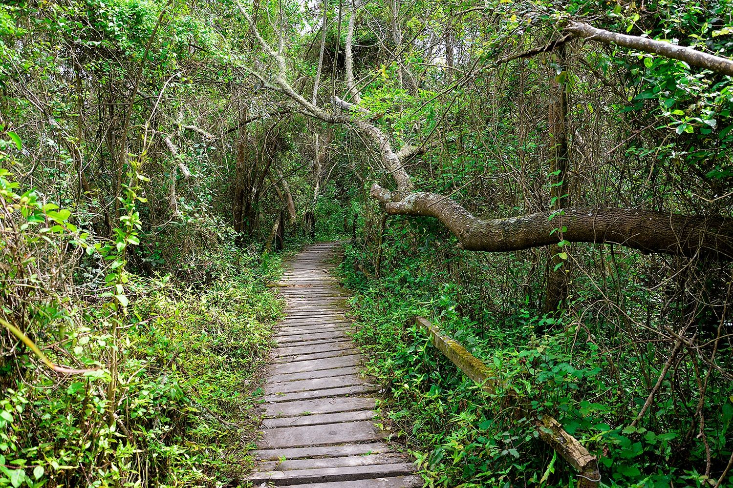 Reservas naturales en la provincia de Buenos Aires para disfrutar del aire libre