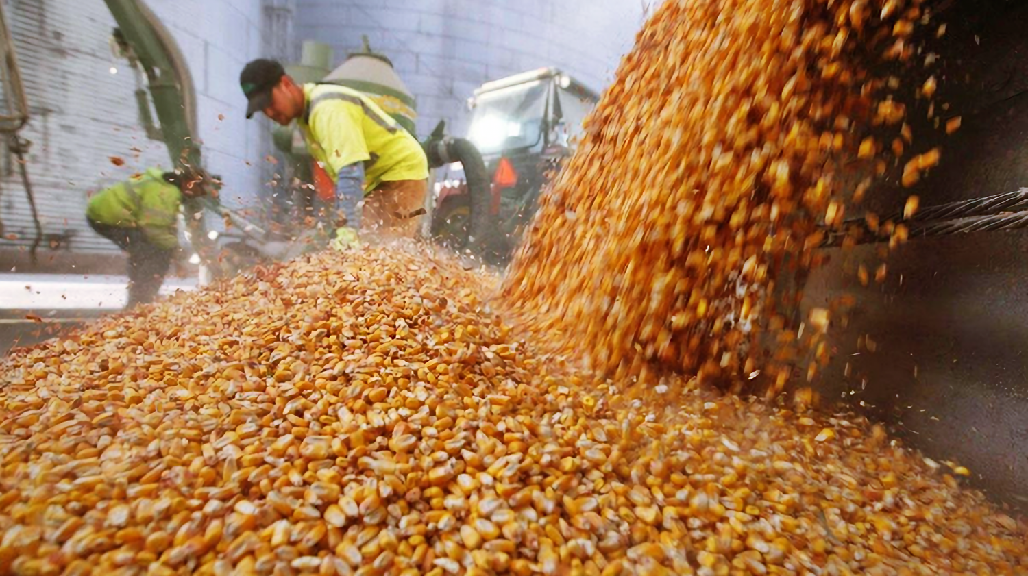 De cada $100 producidos por el agro, $61,50 quedan en manos del Estado