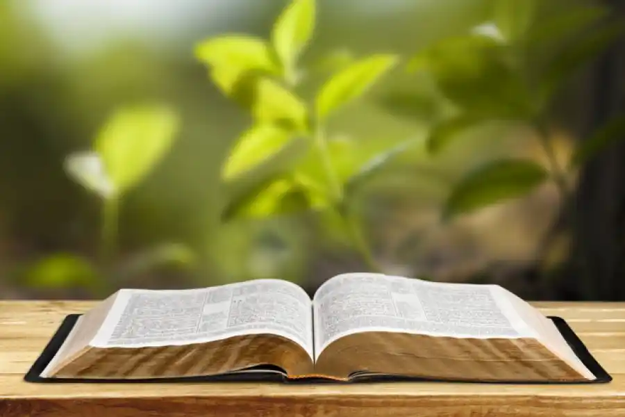 La biblioteca municipal suma nuevos libros vinculados a la temática ambiental