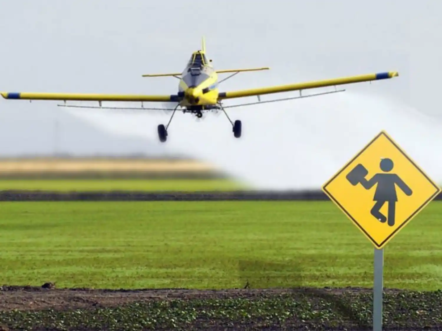 Agroquímicos: La aplicación será resuelta a través de una nueva Ley