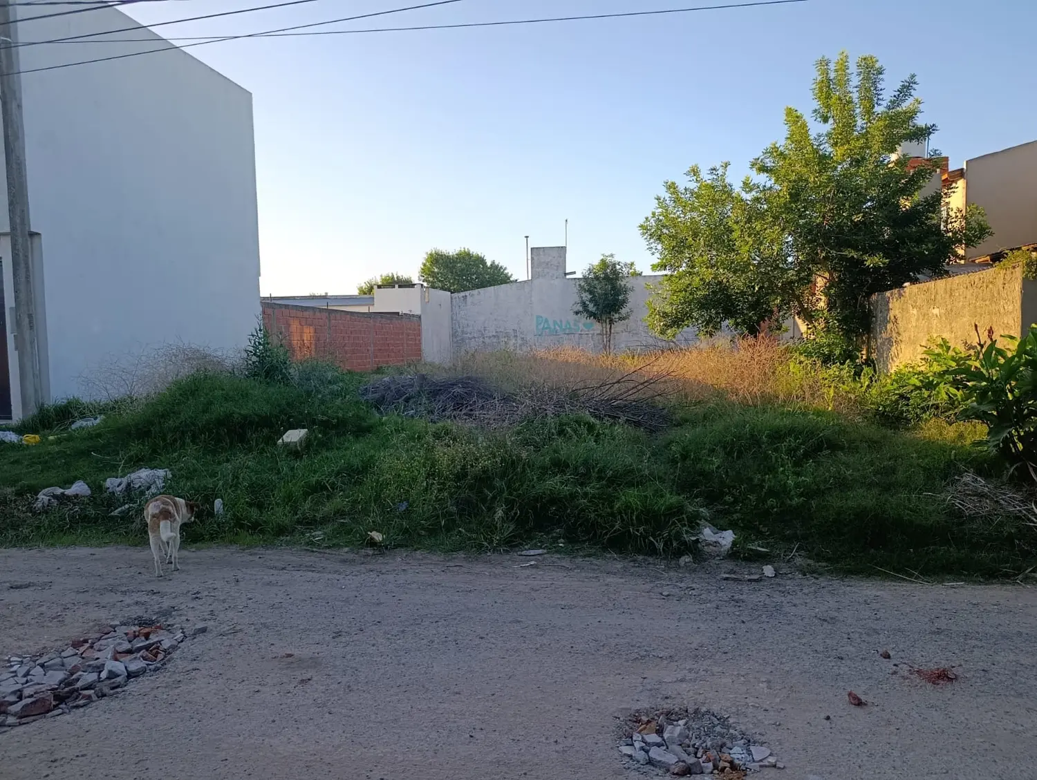 Carta de lectores: "Reclamo por terreno en estado de abandono en Joaquín V. González"
