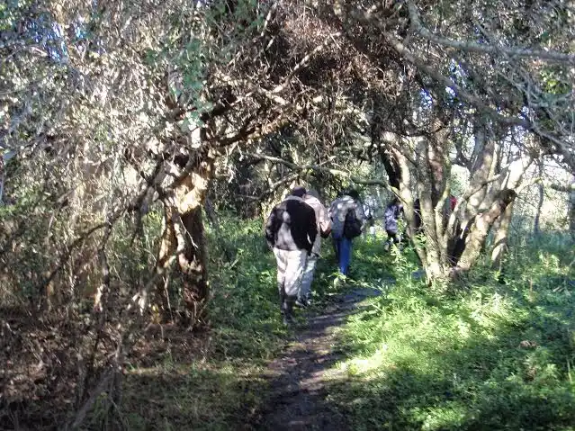 Paisajes naturales de la ciudad se difundirán en Canal Encuentro