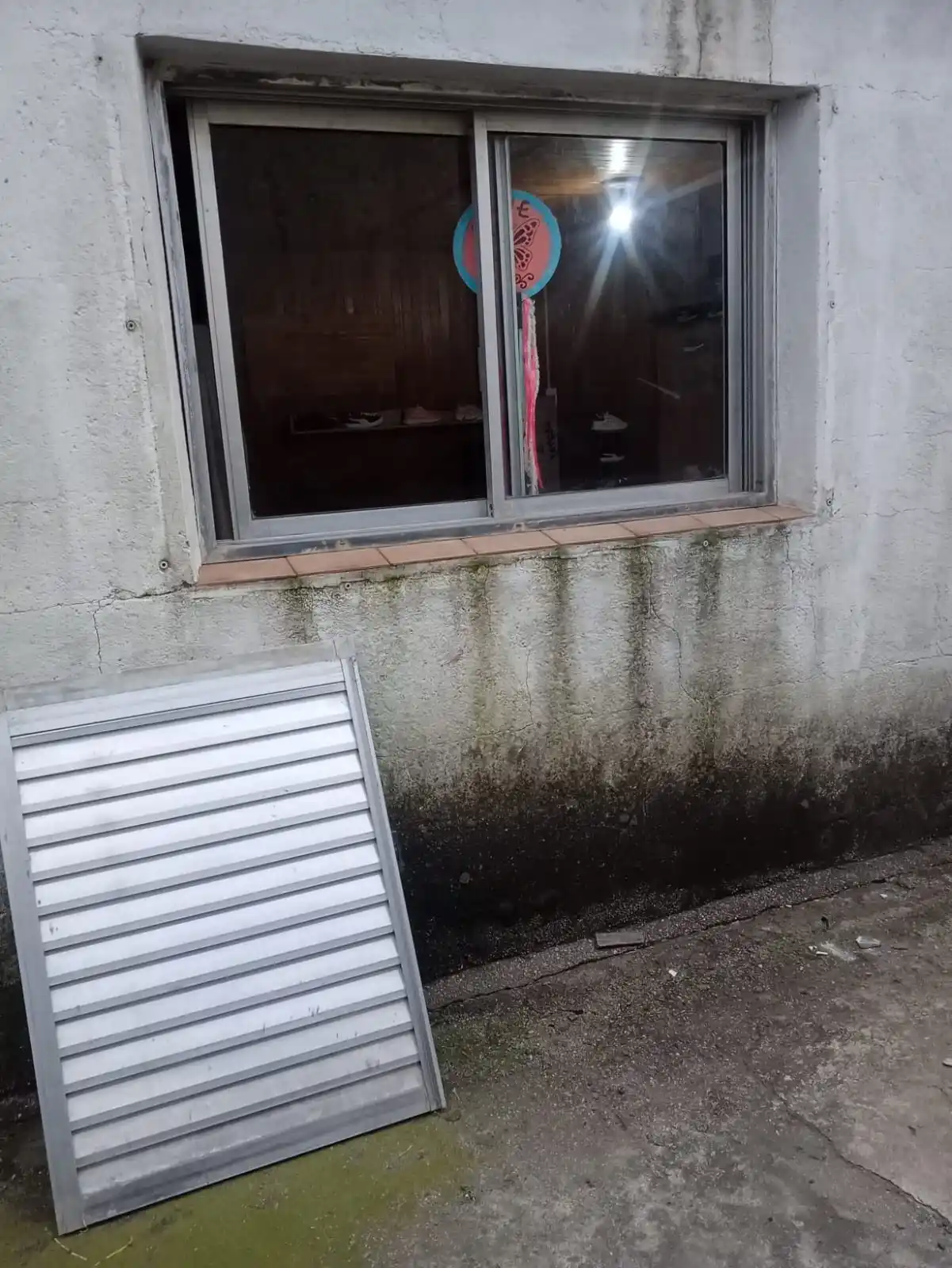robaron a un negocio en santa clara de saguier - 3