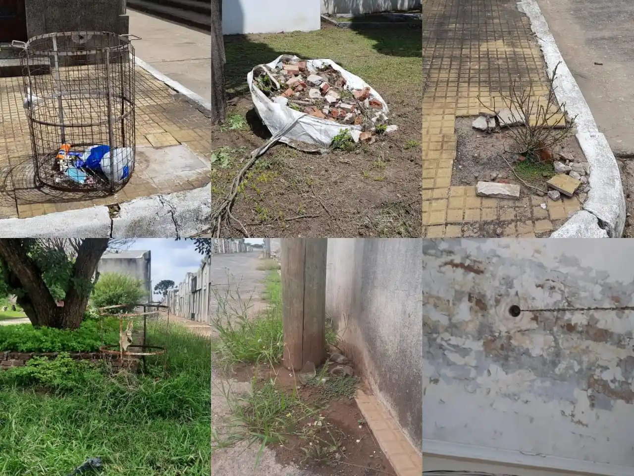 San Pedro, una ciudad que no necesita plata para la limpieza