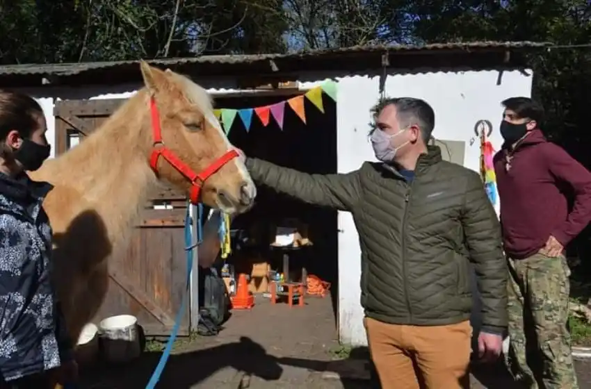 Equinoterapia: proponen un régimen local para su funcionamiento