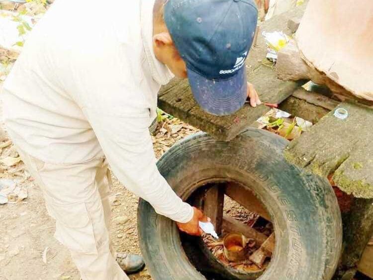Refuerzan el llamado a mantener
los cuidados para prevenir el dengue