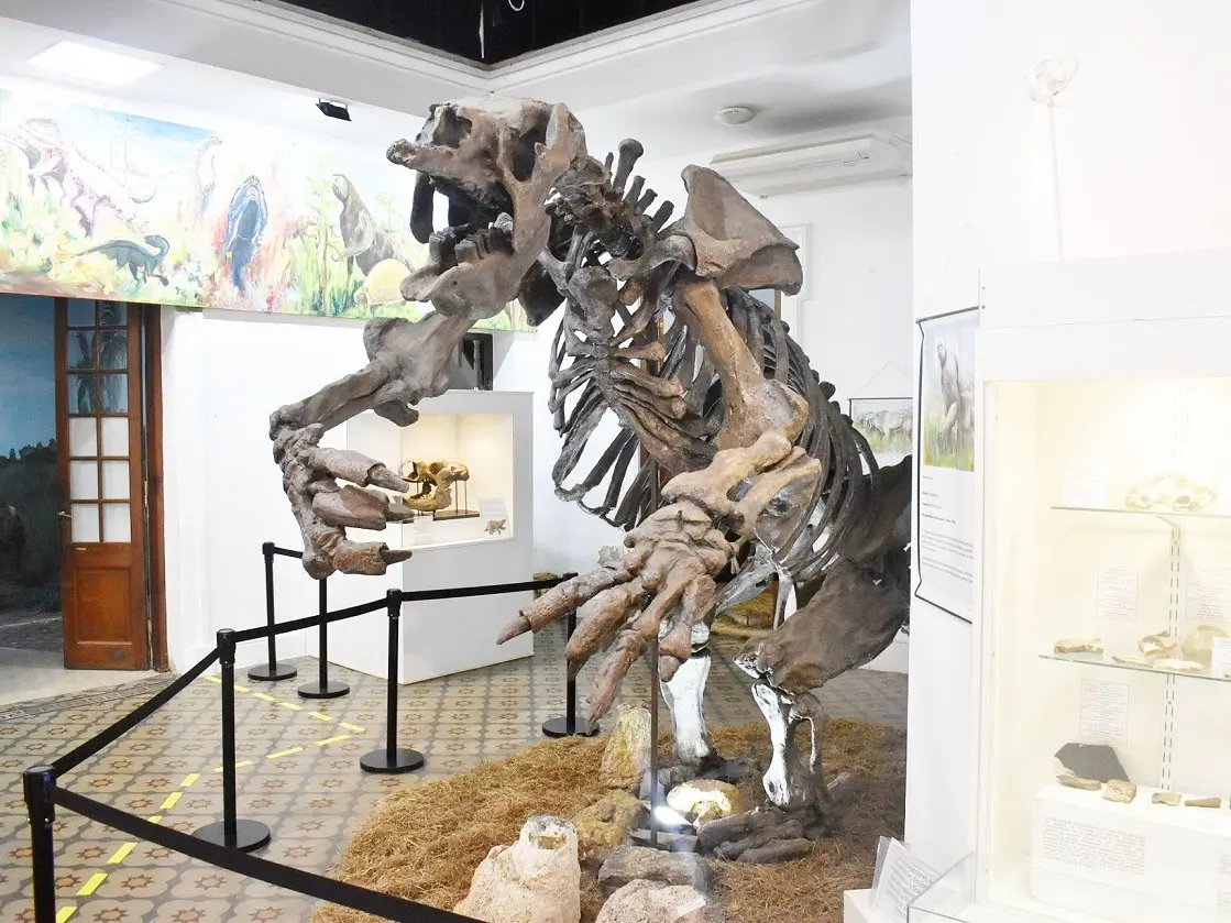 El Museo de Ciencias Naturales cumple 30 años custodiando nuestra historia