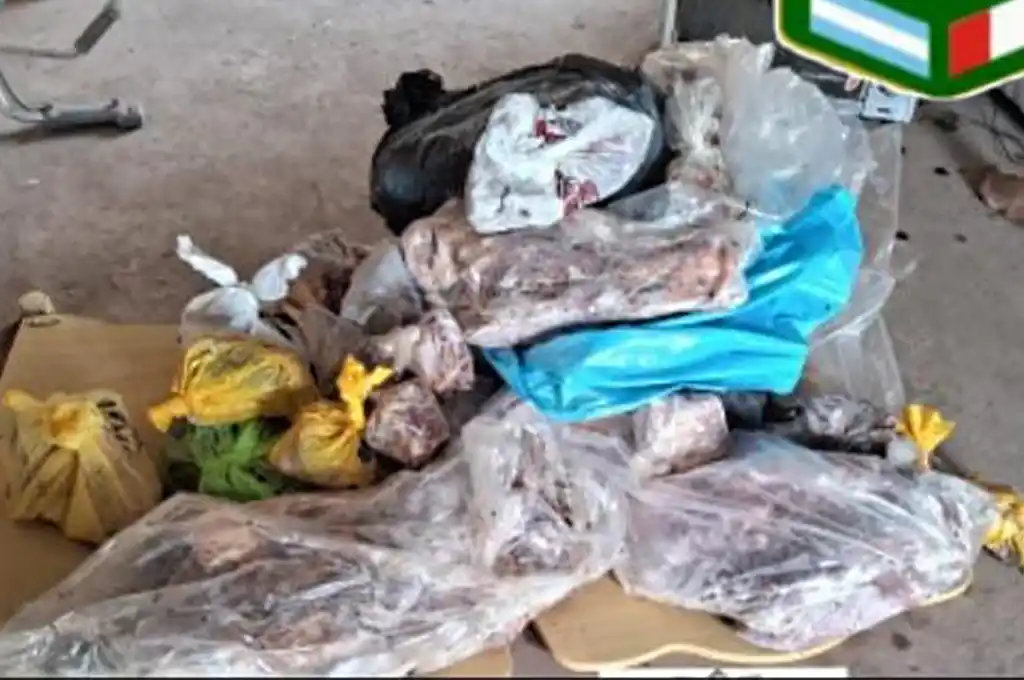 Secuestraron 128 kilos de carne de dudosa procedencia en un allanamiento en Rafaela