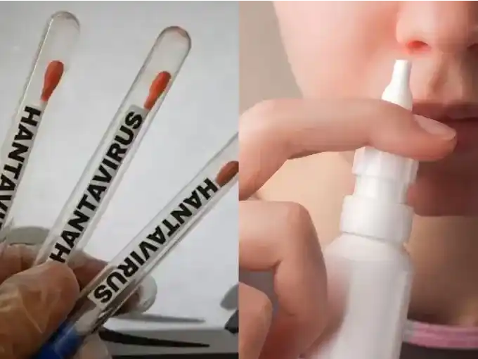 Científicas argentinas probaron un spray nasal de venta libre contra la cepa Andes del hantavirus y los primeros resultados son alentadores