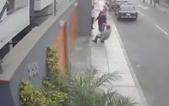 Video: lo noqueó cuando lo increpó porque su perro orinaba 