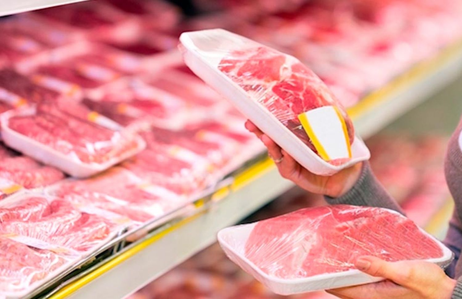 El Gobierno actualizó los precios de la carne en sus siete cortes populares