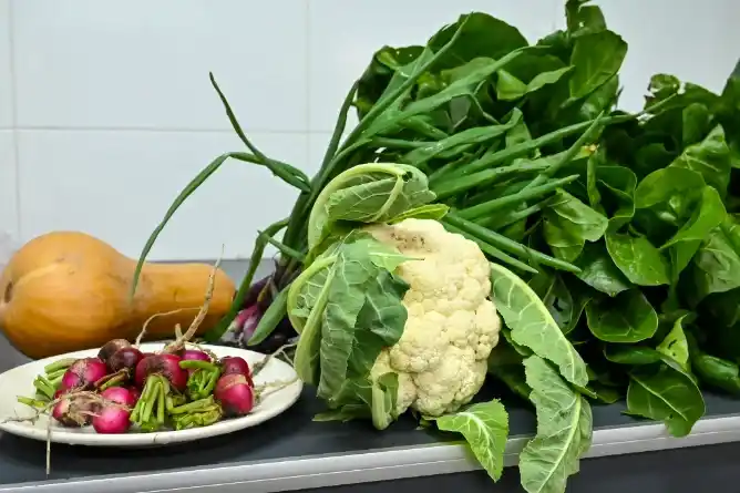 Taller “Comer de verdad: de la huerta a la mesa” promovió alimentación saludable y sustentable en Chascomús