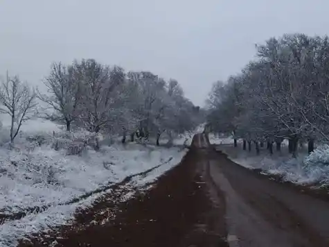 Argentina fue el país más frío del mundo durante la última ola polar