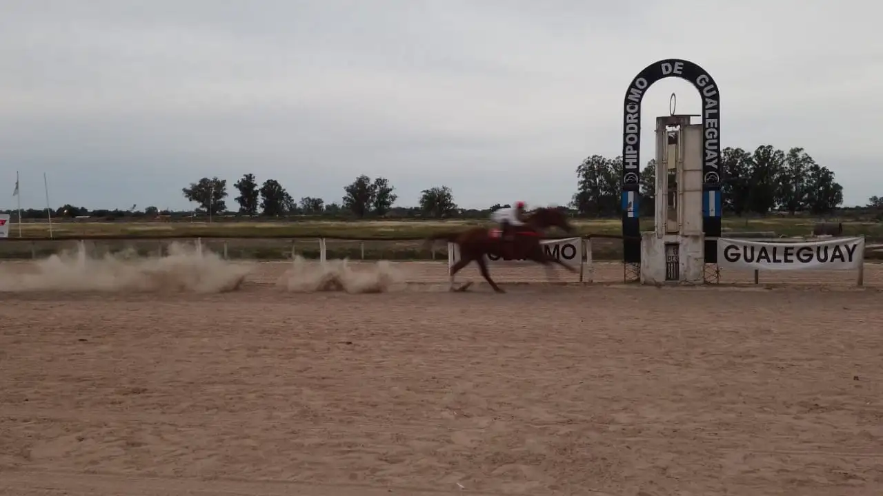 Turf: cierre de temporada con grandes definiciones y destacadas actuaciones