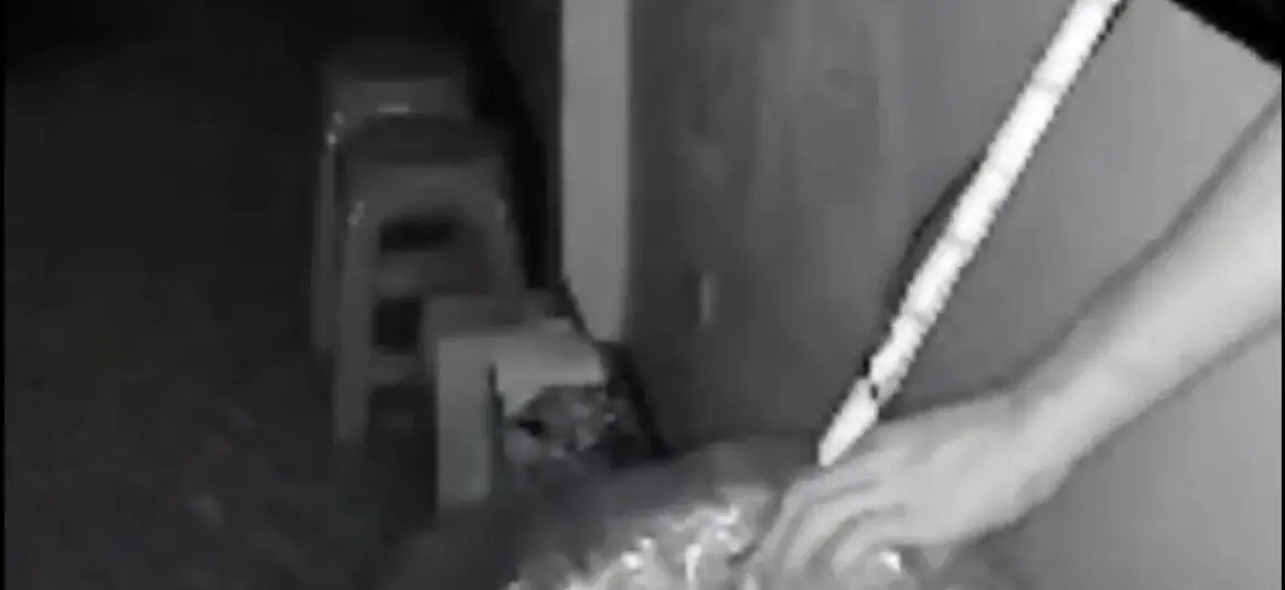 ¡BRAZO DE PALO ATACA! Así delincuentes roban comercios en SAN CRISTÓBAL (+VIDEO)