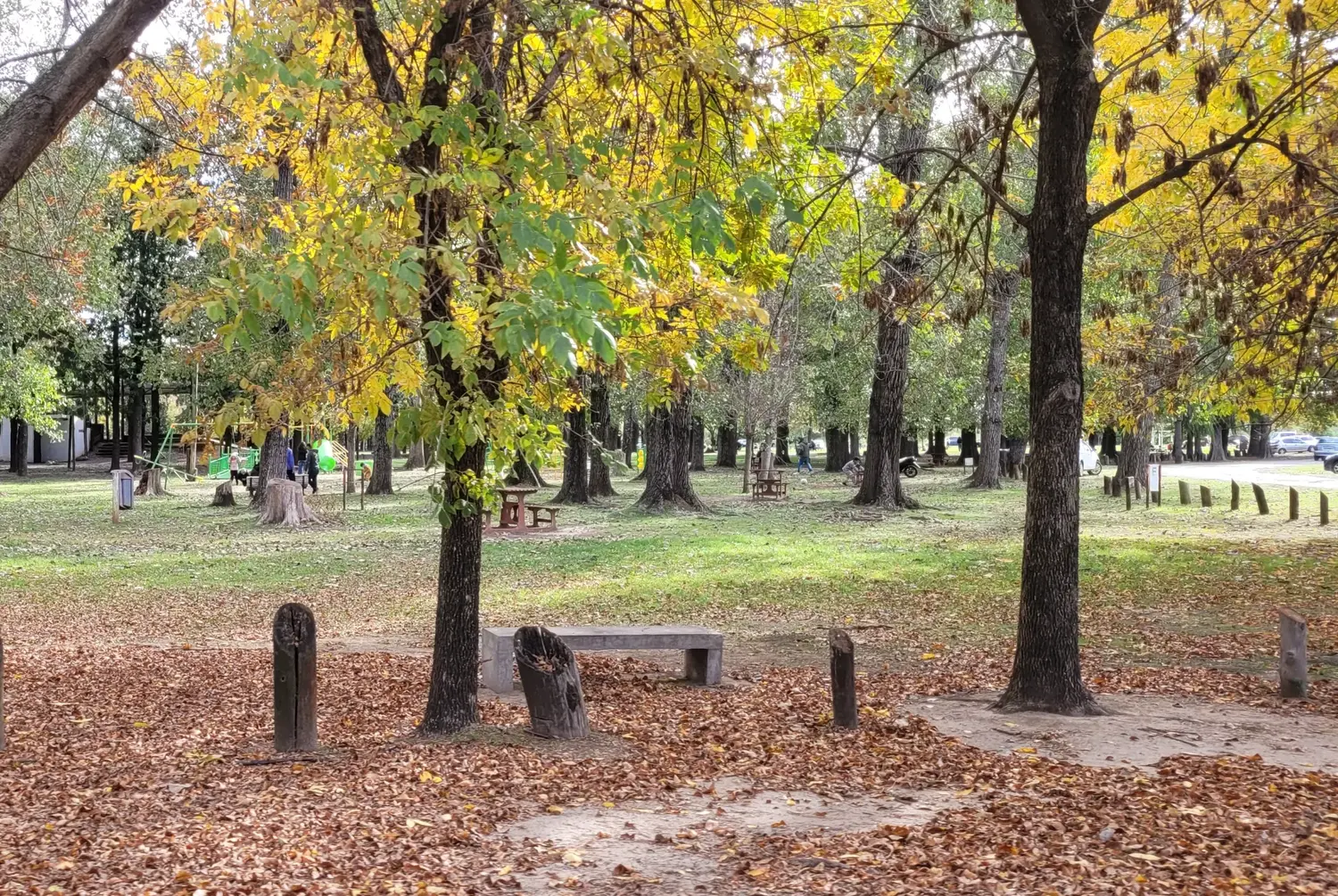 El hecho ocurrió en el Paseo Público municipal.